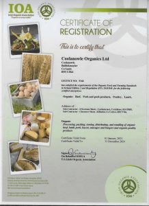 IOA CERTIFICATE 2024 JPEG
