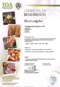 IOA CERTIFICATE 2025