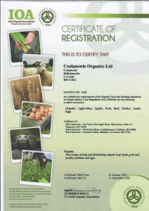 IOA Certificate 2026